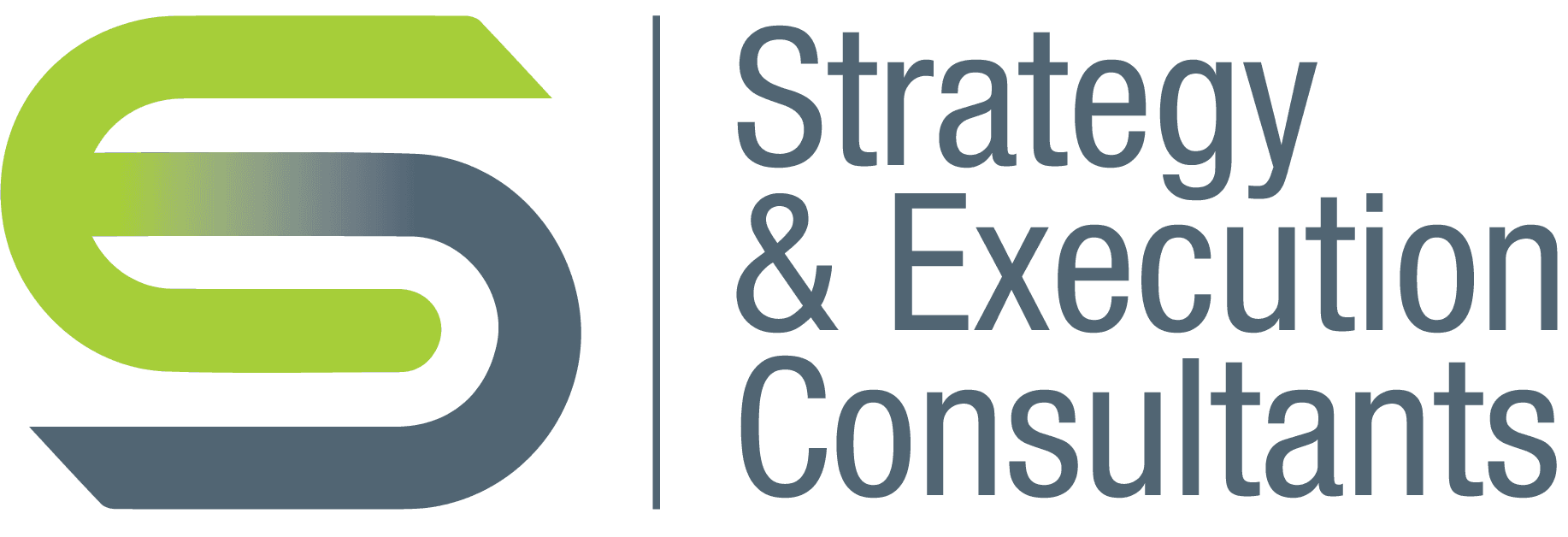 Strategic Execution Consultants